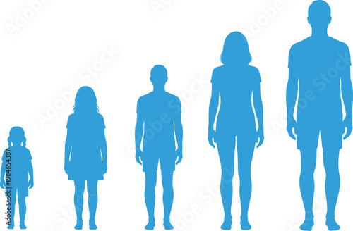 Human Growth Stages from Child to Adult with Male and Female Silhouettes, Development and Aging Concept Vector Illustration Showing Height Progression.