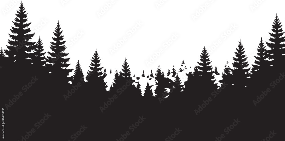 Obraz premium Silhouette of a dense pine forest with evergreen trees against a clear white background.