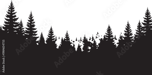 Silhouette of a dense pine forest with evergreen trees against a clear white background.