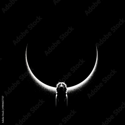 Dog looking up at solar eclipse.