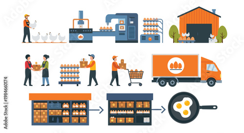 Industrial process of chicken egg production from the farm and factory to the grocery store and final cooking in a pan.