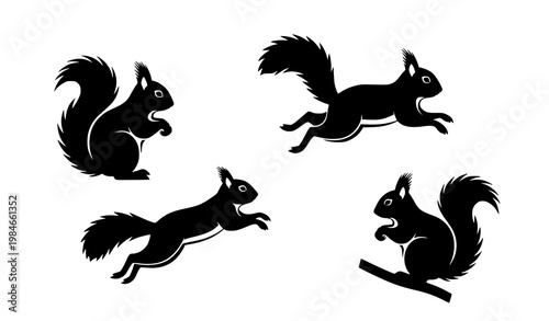 Squirrel silhouettes vector set creative animal icons isolated on white