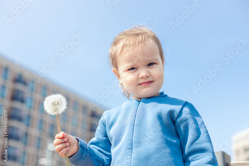 A happy little girl hold a ball of white dandelion on a sunny summer. A child in the fresh air in nature