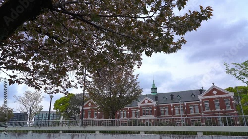 旧近衛師団司令部庁舎と桜