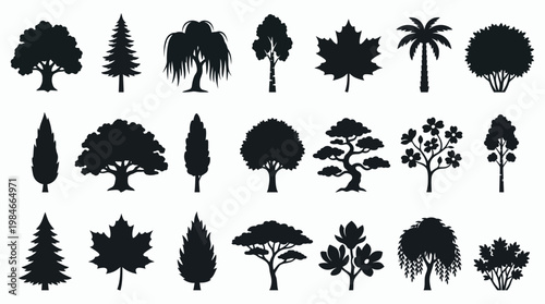 Set of various black tree silhouettes including pine, oak, palm and bonsai isolated on white background, concept for landscape design, environmental branding and graphic illustration