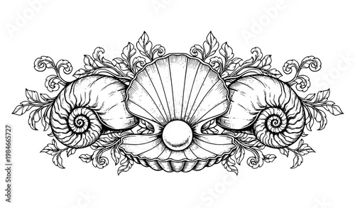 Vintage seashell pearl vector ornate nautilus botanical engraving illustration
