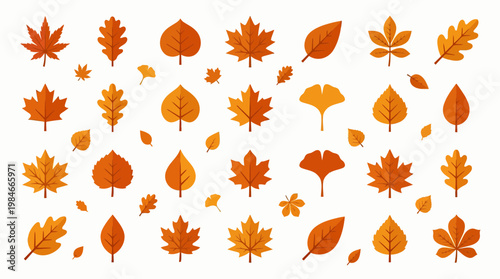 Collection of various flat autumn leaf icons in warm orange colors on white background, concept for seasonal decorative pattern, fall nature backdrop and botanical graphics