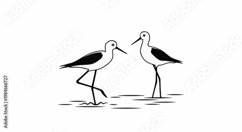 Two elegant wading birds with long legs stand near water