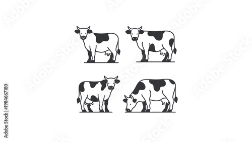 Four black and white cows standing and lying down in simple line drawing style Vector