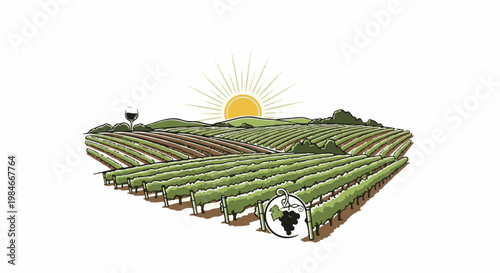 Sunrise over a vineyard with a glass of wine and grapes