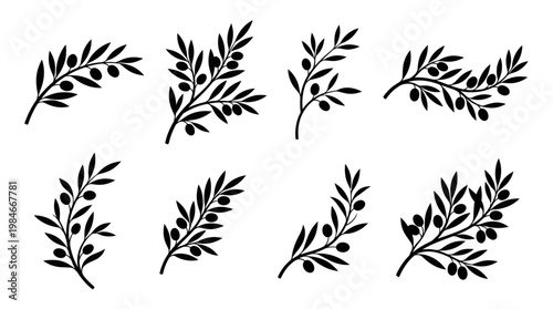 Set of minimalist black olive tree branch silhouettes with many leaves and fruits on white background, concept for organic food packaging, botanical logo design and Mediterranean decoration