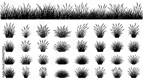 Set of diverse black grass silhouettes and meadow plant borders isolated on white background, concept for landscape design, nature illustration and graphic layout