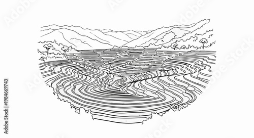 Stylized sketch of tiered agricultural fields against rolling hills and trees
