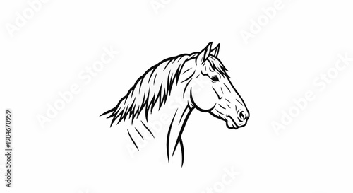 Stylized outline of a horse's head and flowing mane on a white background