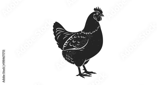 Hen silhouette illustration in solid black with a subtle vintage texture on a white background representing farm poultry.