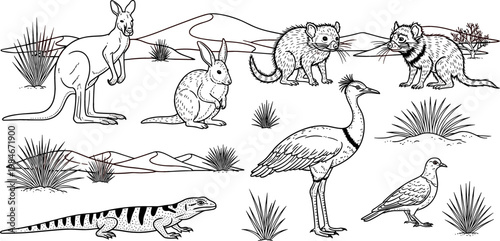 Australian Outback Wildlife Scene with Kangaroo, Bilby, Quoll, Bustard, Monitor Lizard, and Dove in Black and White Line Art