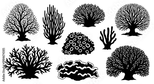 Collection of Diverse Black Silhouettes of Coral Reef and Tree-like Marine Life Forms