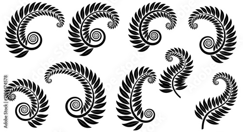 Black Fern Fronds Unfurling in Elegant Spiral Patterns on White Background