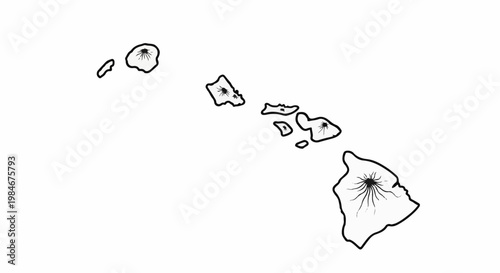 Stylized outline map of the Hawaiian islands, with volcano graphics