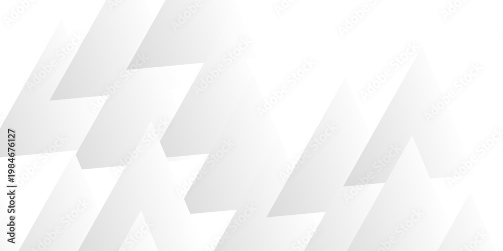 Fototapeta premium modern abstract background in white and gray. 3D effect. Lines, stripes, triangles. Geometric abstract background. Gray White Grid Mosaic Background, Creative Design Templates .