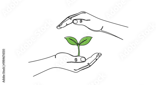 Nurturing the future Caring hands cradle and protect a delicate green plant sprout, symbolizing environmental sustainability, organic growth, and the promise of new life