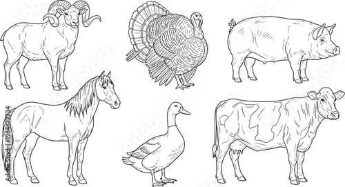 Detailed Hand Drawn Farm Animal Vector Illustration Set Featuring Cow Horse Pig Ram Turkey and Duck in Vintage Sketch Style for Rustic Agricultural DesignsDetailed Hand Drawn Farm Animal Vector Illust
