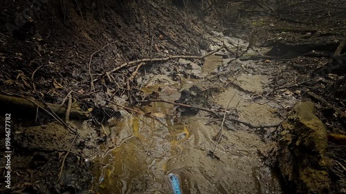 Stormwater Management System: Open Drainage Trench Flowing Toward Woodland Stream