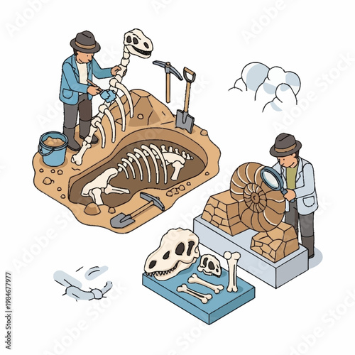 Paleontologist excavating dinosaur fossils and examining ancient ammonite fossil.