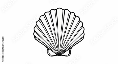 Stylized, monochrome illustration of a scallop shell, radiating lines