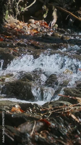 Tranquil Forest Stream Cascading Over Mossy Stones Surrounded By Leaf Litter And Soothing Sounds
