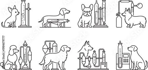 Professional laboratory dogs working with scientific glass test tubes