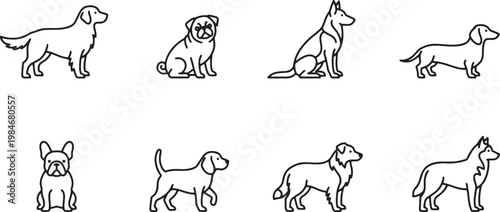 Minimalist outline portraits of popular dog breeds in various poses