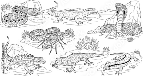 Desert Reptiles and Creatures Set Featuring Snakes, Lizards, Spiders, and Other Desert Inhabitants in Their Natural Habitat