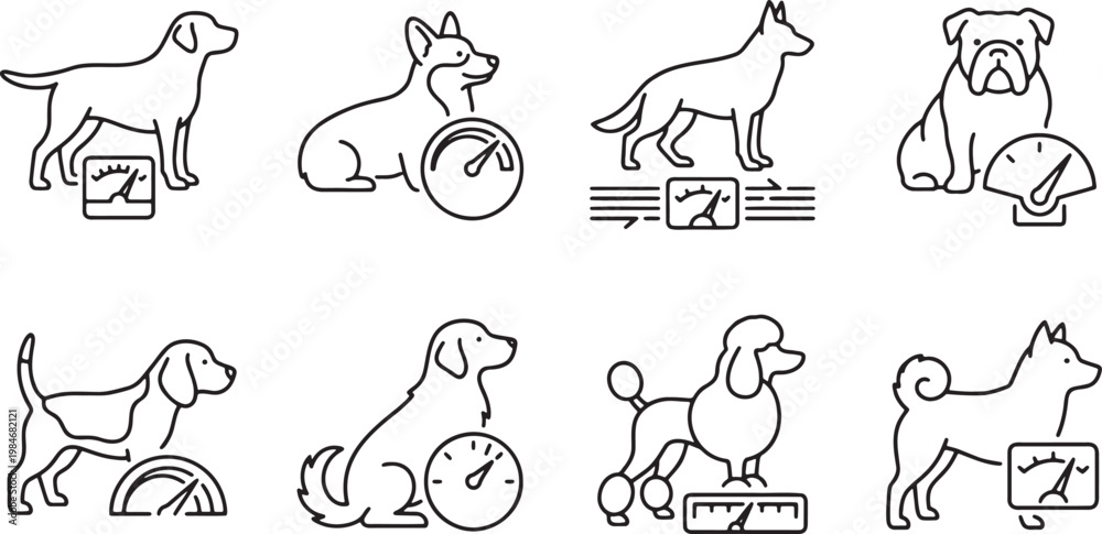 Obraz premium Performance monitoring dogs using various technical gauges and meters
