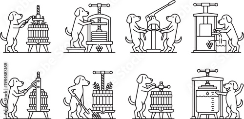 Dogs operating traditional grape press for wine making and harvest process