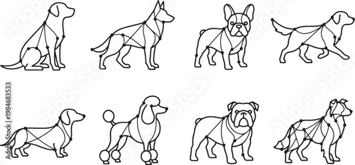 Geometric dog constellations and constellation mapping art