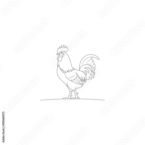 Rooster standing on the ground proudly.