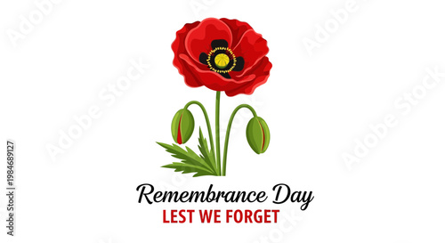 Remembrance Day Poppy Lest We Forget Symbol of Peace and Memory