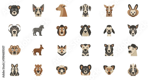 Collection of Various Animal Faces.