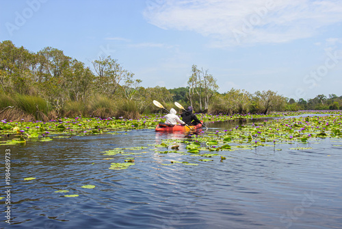Tourists kayaking at Rayong Botanical Gardens, enjoying the blooming lotus fields and the wetland ecosystem, Klaeng district, Rayong province, Thailand