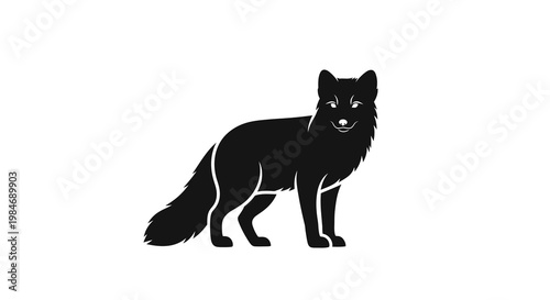 Black Arctic Fox Silhouette Standing on White Background