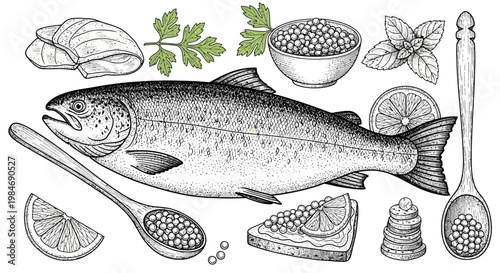 Fresh Salmon Fish with Caviar, Lemon, Herbs, and Spices - Vintage Illustration