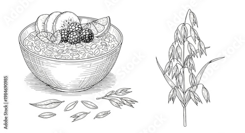 Hand-drawn Oatmeal Bowl with Fruits and Oat Plant Illustration