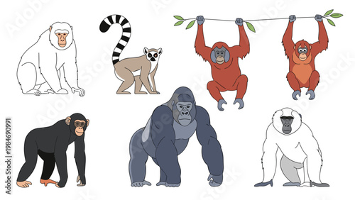 Diverse collection of primates and apes including a gorilla, chimpanzee, orangutan, and a ring-tailed lemur shown in various poses.
