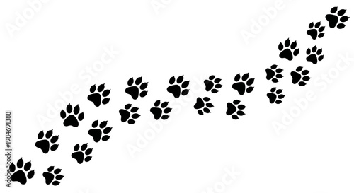 A graphic illustration of a winding trail made from numerous black paw prints, creating a playful and dynamic path across a clean white background, suggesting movement, adventure, or the journey