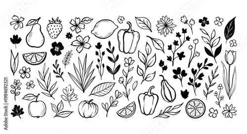 Charming hand-drawn collection of organic fruits, vegetables, leaves, and flowers, ideal for nature-inspired designs, healthy lifestyle themes, and decorative botanical art