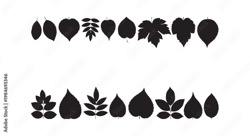 Fototapeta premium Assortment of diverse black leaf silhouettes from different tree and plant species, botanical collection.