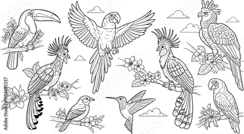 Tropical Birds including Parrots, Hummingbirds, and Toucan on Branches with Flowers