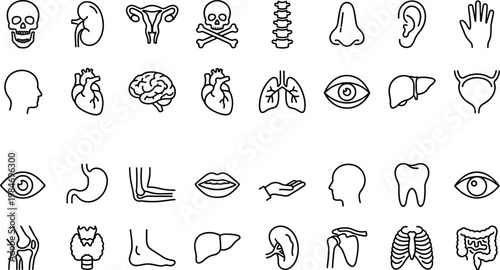 Human Anatomy and Medical Icon Set with Organs, Skeleton, Brain, Heart, Lungs, Senses, and Body Parts Line Symbols for Healthcare and Education Design