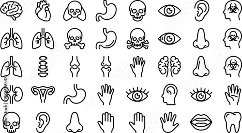 Human Anatomy Icon Set with Organs, Skull, Brain, Heart, Lungs, Senses, and Medical Body Parts Line Symbols for Healthcare and Education Design